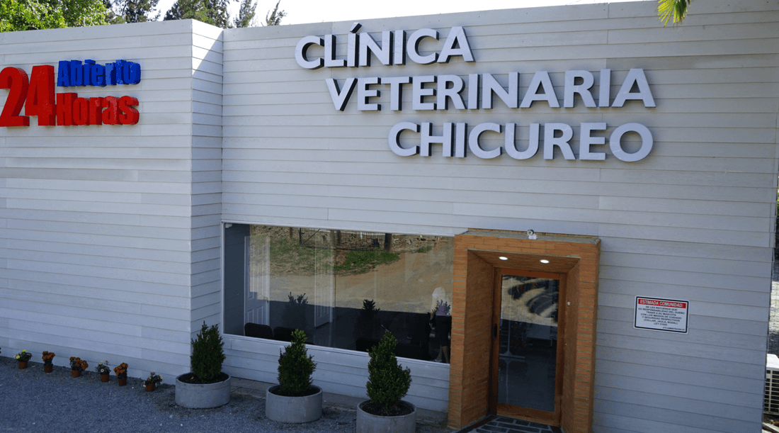 Porqué mi mascota debe visitar al veterinario con frecuencia