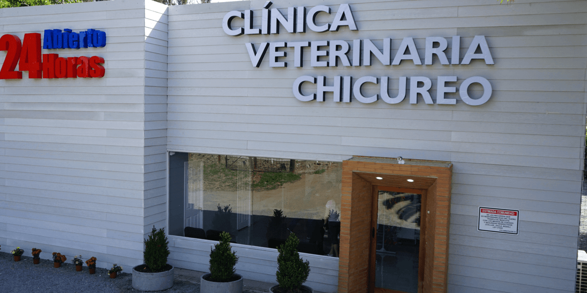 1_1200x600_crop_center.png?v=1617169424