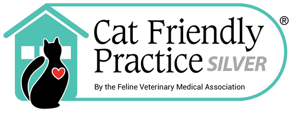 Cat Friendly Practice Silver